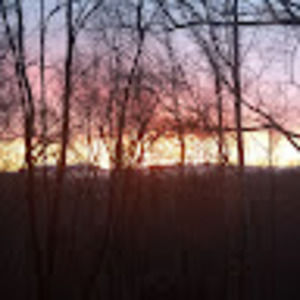 Meet your Posher, Kitty